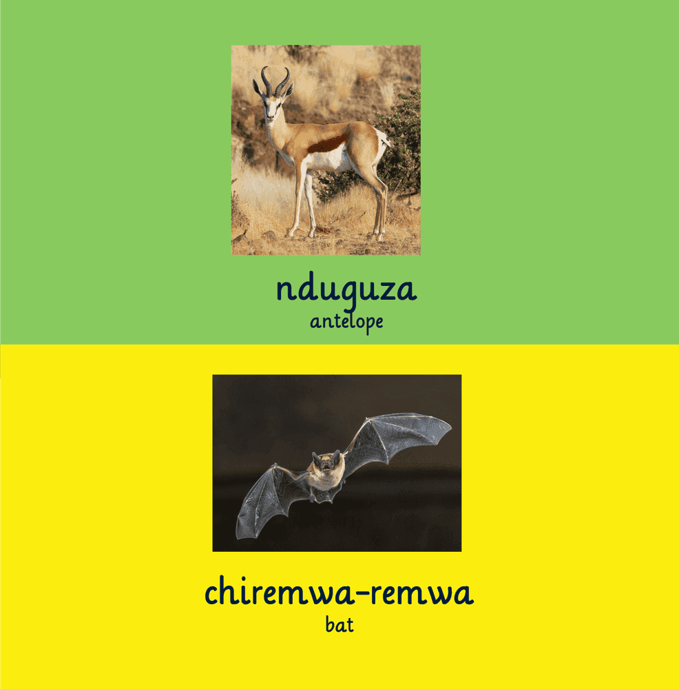 Interior page 1 of Shona - English Words for Toddlers - Animals - Click to view on Amazon