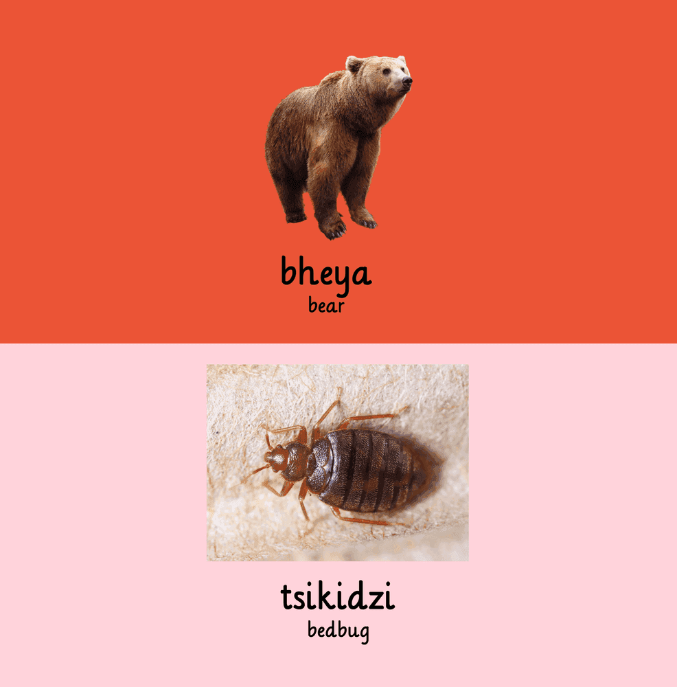 Interior page 2 of Shona - English Words for Toddlers - Animals - Click to view on Amazon