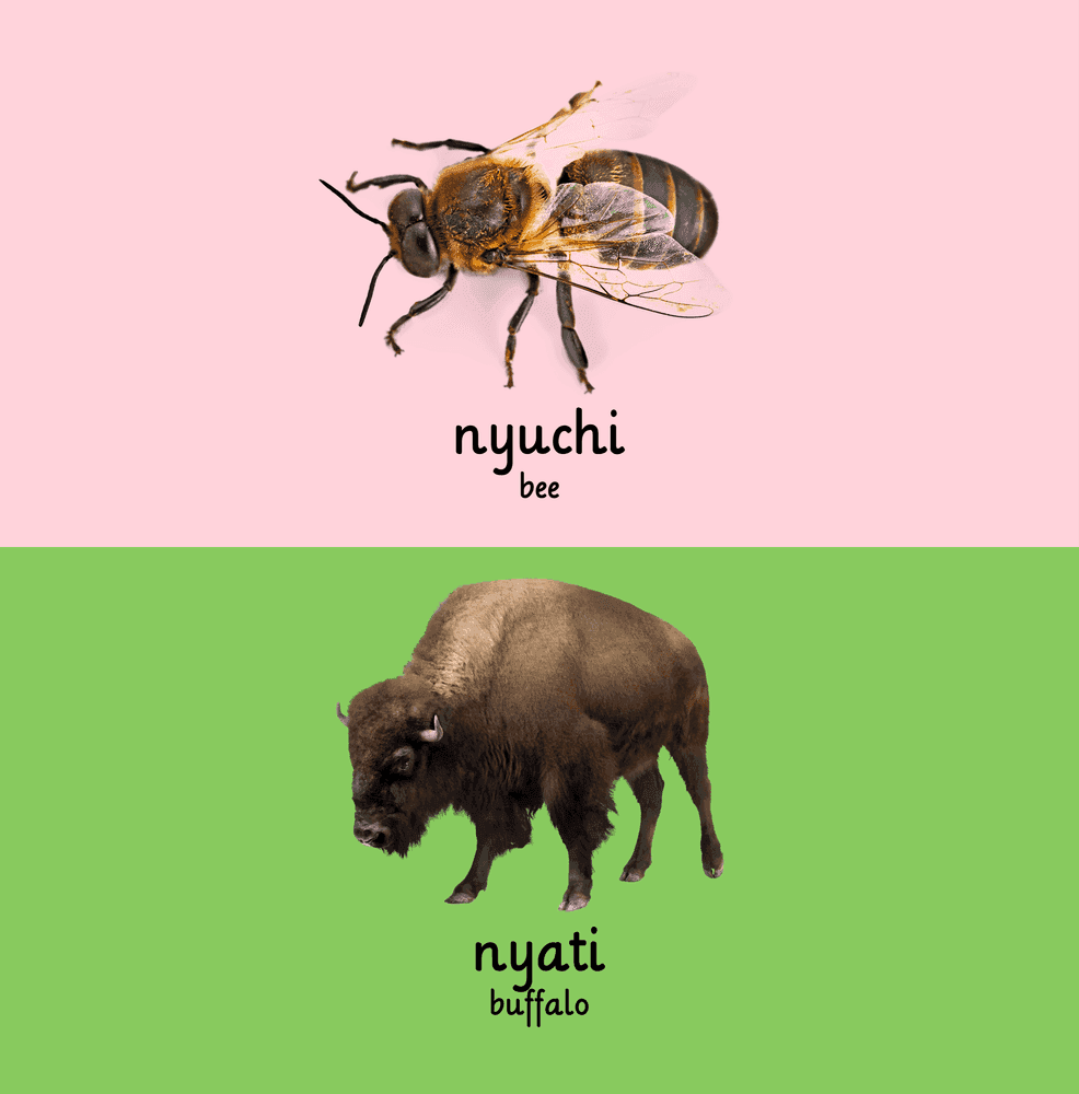 Interior page 3 of Shona - English Words for Toddlers - Animals - Click to view on Amazon